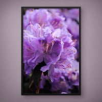 Quadro Decorativo Flores Amarelas