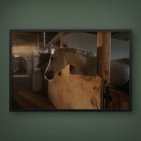 Quadro Decorativo Cavalo Encantado