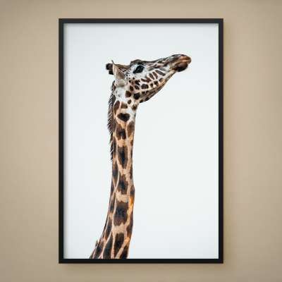 Quadro Decorativo Girafa Imponente