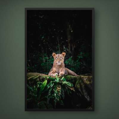 Quadro Decorativo Rainha da Selva