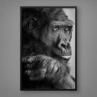 Quadro Decorativo Colorful Monkey