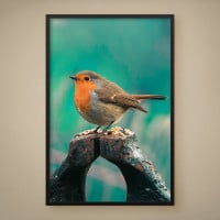 Quadro Decorativo Cacatua da Crista Laranja