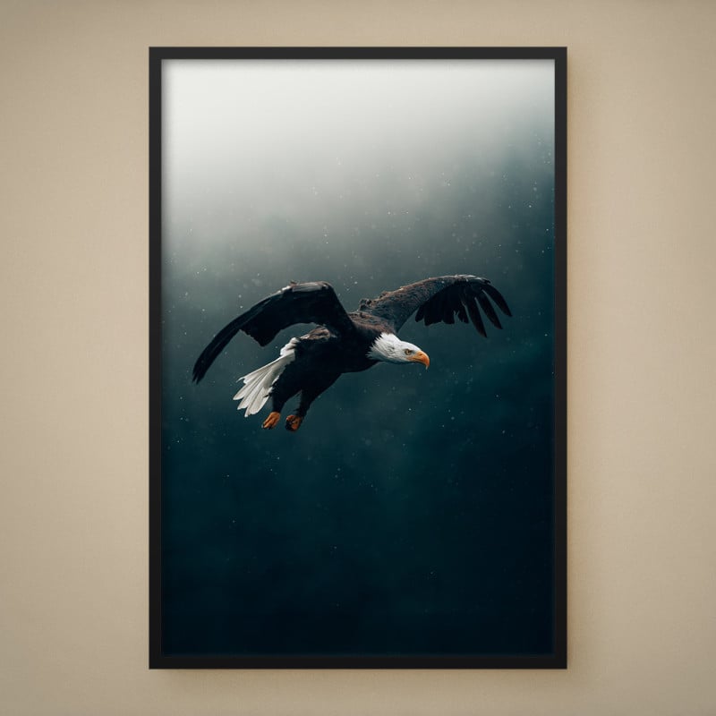 Quadro Decorativo Voo da Águia