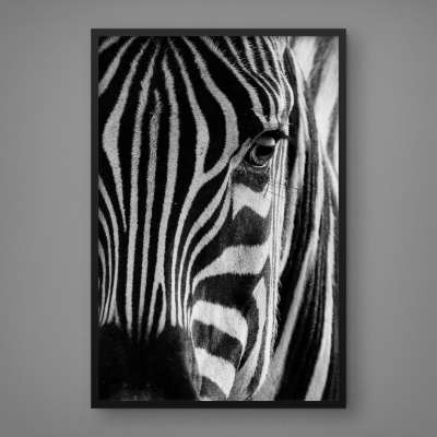 Quadro Decorativo Close na Zebra