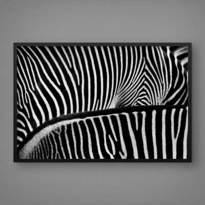 Quadro Decorativo Padrões de Zebras