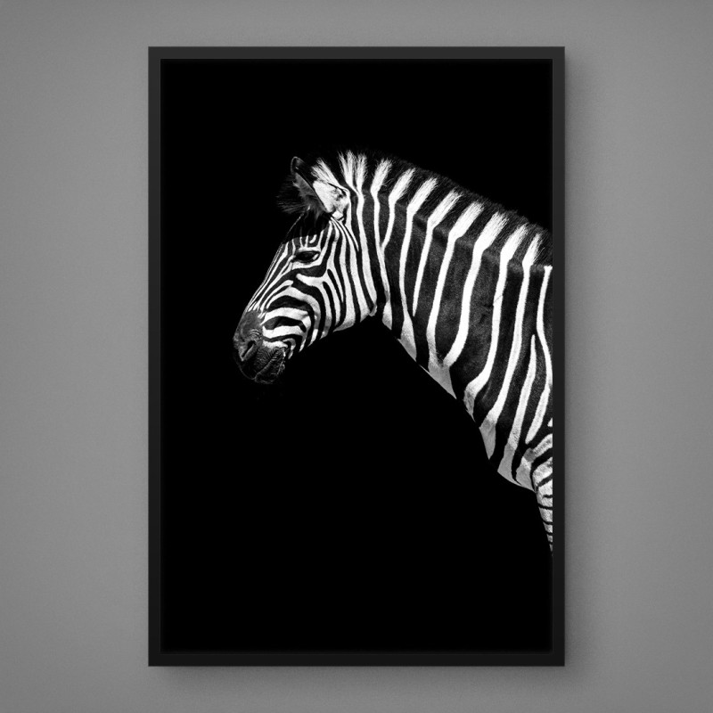 Quadro Decorativo Zebra de Perfil