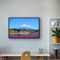 Quadro Decorativo Monte Fuji