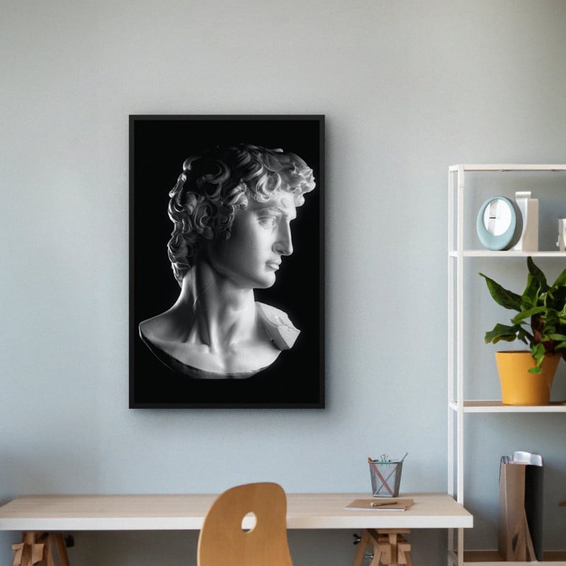 Quadro Decorativo Busto de David