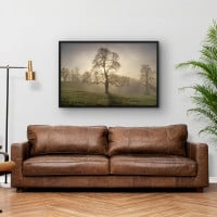 Quadro Decorativo Neblina