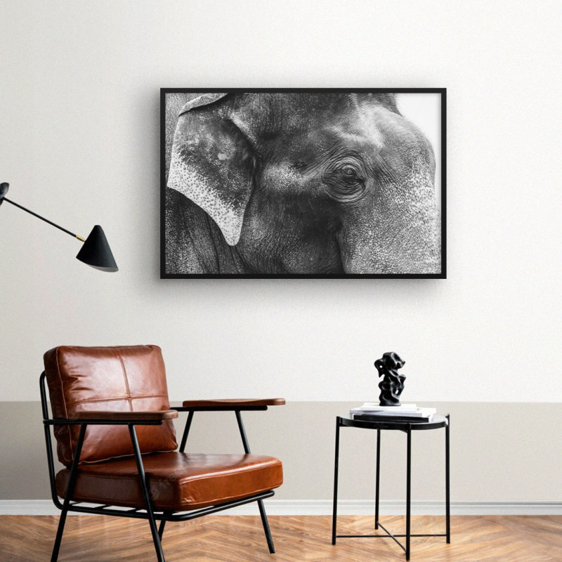 Quadro Decorativo Elefante de Perfil