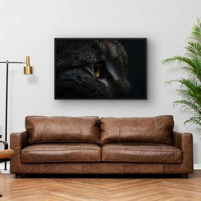 Quadro Decorativo Olhar Felino