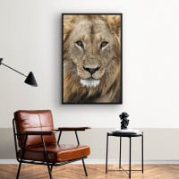 Quadro Decorativo True Lion