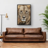 Quadro Decorativo True Lion