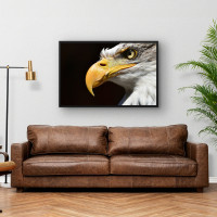 Quadro Decorativo Close na Águia