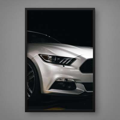 Quadro Decorativo Ford Mustang Rouge