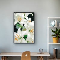 Quadro Decorativo Lírios Brancos