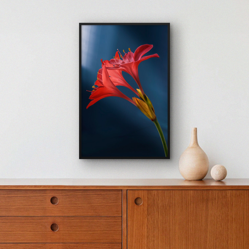 Quadro Decorativo Amaryllis