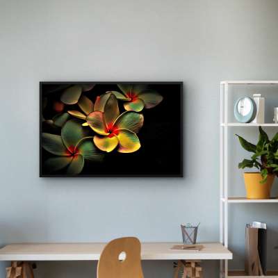 Quadro Decorativo Flor Frangipani